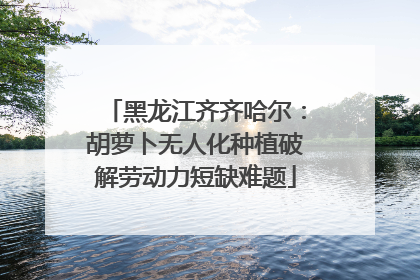 黑龙江齐齐哈尔：胡萝卜无人化种植破解劳动力短缺难题