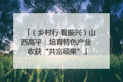 （乡村行·看振兴）山西高平：培育特色产业 收获“共富硕果”