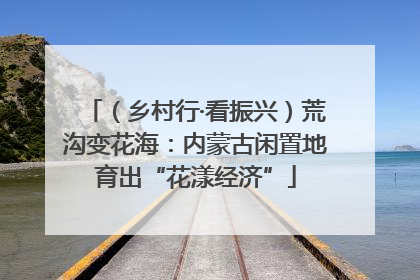 （乡村行·看振兴）荒沟变花海：内蒙古闲置地育出“花漾经济”