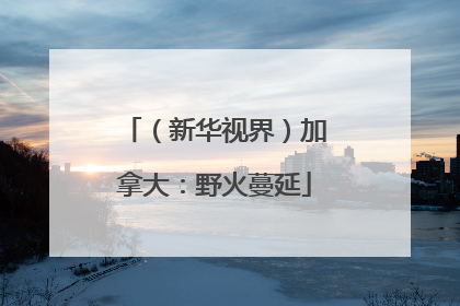 （新华视界）加拿大：野火蔓延