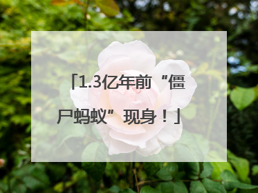 1.3亿年前“僵尸蚂蚁”现身！