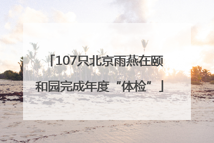 107只北京雨燕在颐和园完成年度“体检”