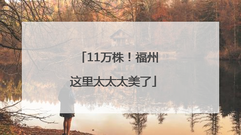 11万株！福州这里太太太美了