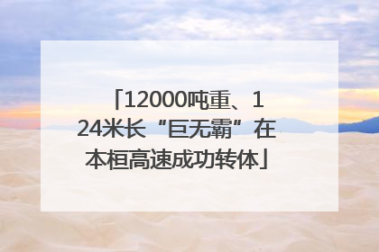 12000吨重、124米长“巨无霸”在本桓高速成功转体