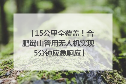 15公里全覆盖！合肥蜀山警用无人机实现5分钟应急响应