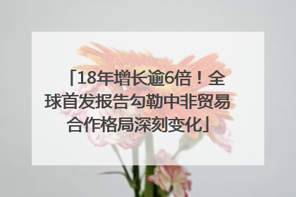 18年增长逾6倍！全球首发报告勾勒中非贸易合作格局深刻变化