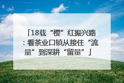 18载“樱”红振兴路：看茶业口镇从接住“流量”到深耕“留量”