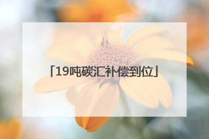 19吨碳汇补偿到位