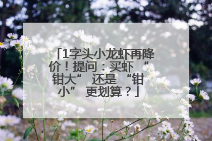 1字头小龙虾再降价！提问：买虾 “钳大” 还是 “钳小” 更划算？