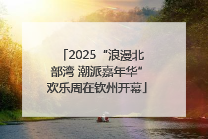 2025“浪漫北部湾 潮派嘉年华”欢乐周在钦州开幕