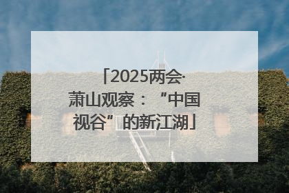 2025两会·萧山观察：“中国视谷”的新江湖