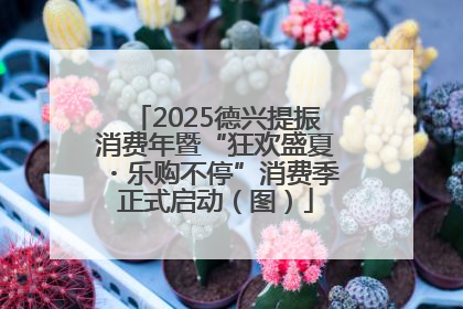 2025德兴提振消费年暨“狂欢盛夏・乐购不停”消费季正式启动（图）