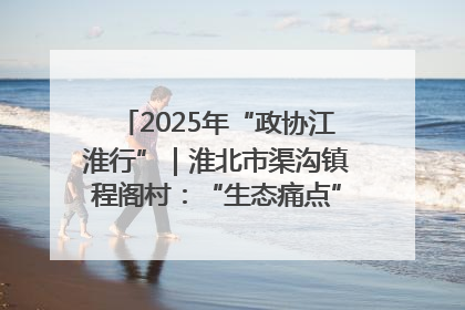2025年“政协江淮行”｜淮北市渠沟镇程阁村：“生态痛点”变“生态景观”