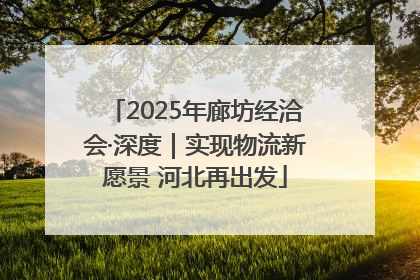 2025年廊坊经洽会·深度｜实现物流新愿景 河北再出发