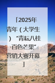 2025年青年（大学生）“青耘八桂·百色芒果”营销大赛开幕