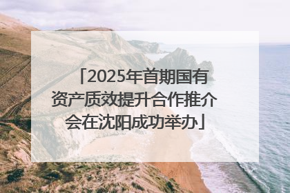 2025年首期国有资产质效提升合作推介会在沈阳成功举办
