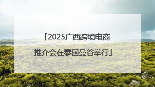 2025广西跨境电商推介会在泰国曼谷举行