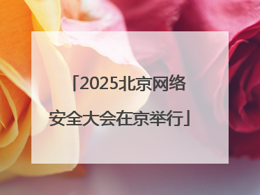 2025北京网络安全大会在京举行
