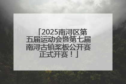 2025南浔区第五届运动会暨第七届南浔古镇桨板公开赛正式开赛！
