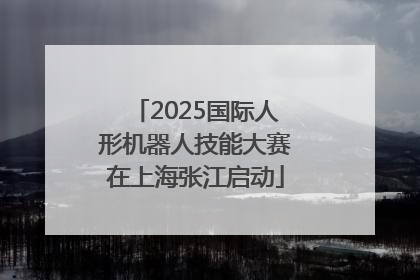 2025国际人形机器人技能大赛在上海张江启动