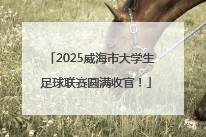 2025威海市大学生足球联赛圆满收官！