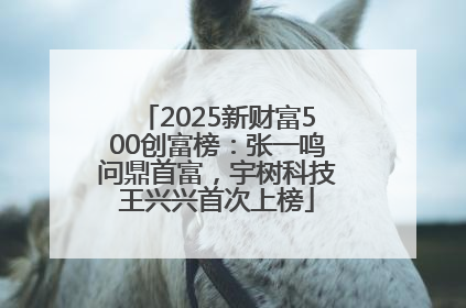 2025新财富500创富榜：张一鸣问鼎首富，宇树科技王兴兴首次上榜