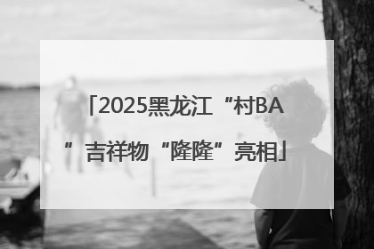 2025黑龙江“村BA”吉祥物“隆隆”亮相