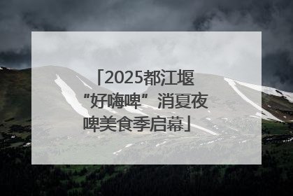 2025都江堰“好嗨啤”消夏夜啤美食季启幕