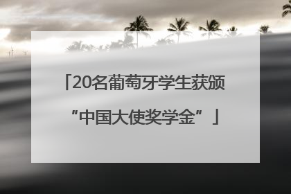 20名葡萄牙学生获颁“中国大使奖学金”