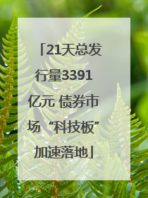 21天总发行量3391亿元 债券市场“科技板”加速落地