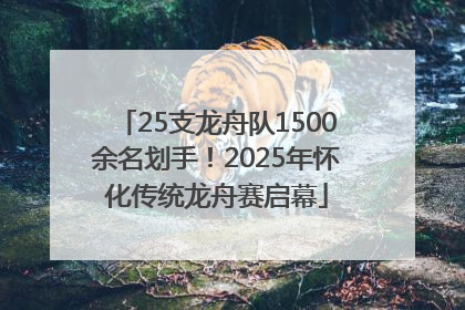 25支龙舟队1500余名划手！2025年怀化传统龙舟赛启幕
