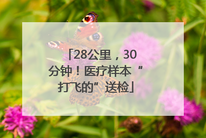 28公里，30分钟！医疗样本“打飞的”送检
