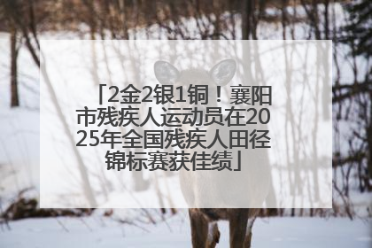 2金2银1铜！襄阳市残疾人运动员在2025年全国残疾人田径锦标赛获佳绩