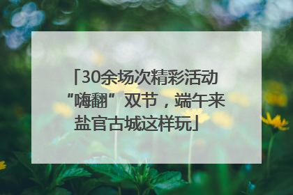 30余场次精彩活动“嗨翻”双节，端午来盐官古城这样玩