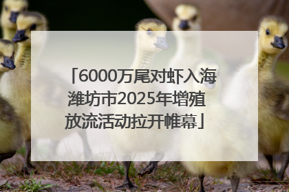 6000万尾对虾入海 潍坊市2025年增殖放流活动拉开帷幕