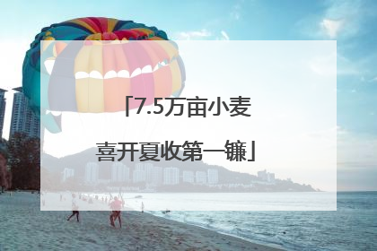 7.5万亩小麦喜开夏收第一镰