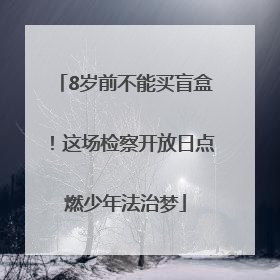 8岁前不能买盲盒！这场检察开放日点燃少年法治梦