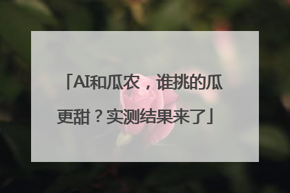 AI和瓜农，谁挑的瓜更甜？实测结果来了