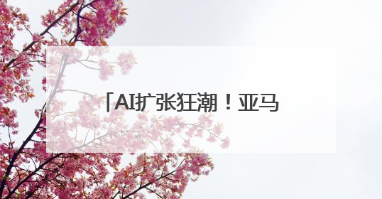 AI扩张狂潮！亚马逊宣布再向美国东海岸砸200亿美元