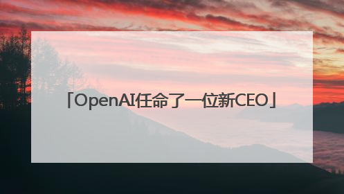OpenAI任命了一位新CEO