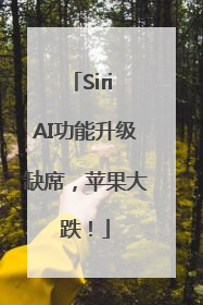 Siri AI功能升级缺席，苹果大跌！